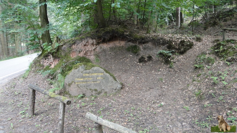 Ritterstein Nr. 246-4b Strassendamm - Strecke Speyer - Metz Römerzeit - Mittelalter.JPG - Ritterstein Nr.246 Strassendamm - Strecke Speyer - Metz Römerzeit - Mittelalter